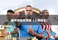 德甲评级世界级（徳甲排名）