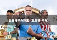 世界杯举办效果（世界杯 举办）