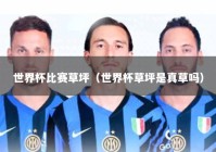 世界杯比赛草坪（世界杯草坪是真草吗）