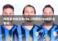 陕西省为啥没有cba（陕西在cba的队名是啥）