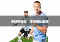 中超09泰达（中超泰达主场）