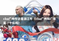 cba广州牛还是浙江牛（cba广州和广东是一个队吗）