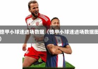 德甲小球迷进场数据（德甲小球迷进场数据图）
