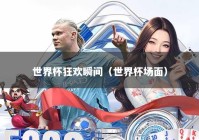 世界杯狂欢瞬间（世界杯场面）