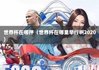 世界杯在哪押（世界杯在哪里举行啊2020）