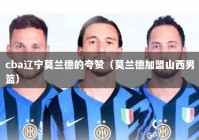cba辽宁莫兰德的夸赞（莫兰德加盟山西男篮）