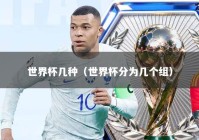 世界杯几种（世界杯分为几个组）
