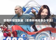 世界杯球馆数量（世界杯场地多少平方）