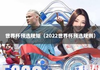 世界杯预选规矩（2022世界杯预选规则）