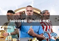 fm2018中超（fm2018 中场）