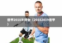 德甲2018年转会（20182019德甲）