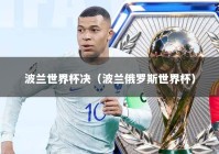 波兰世界杯决（波兰俄罗斯世界杯）