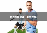 世界杯糖测评（的世界杯）