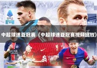 中超球迷亚冠赛（中超球迷亚冠赛视频回放）