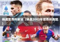 杨晨世界杯解说（杨晨2002年世界杯表现）