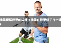杨晨留洋德甲的成绩（杨晨在德甲进了几个球）