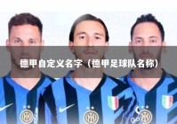 德甲自定义名字（德甲足球队名称）
