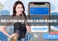 英超几支球队参加（英超几支球队参加欧冠）
