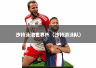 沙特泳池世界杯（沙特游泳队）