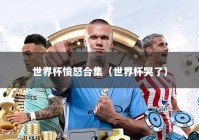 世界杯愤怒合集（世界杯哭了）