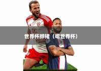 世界杯脖裙（嗯世界杯）
