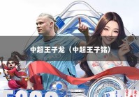中超王子龙（中超王子铭）